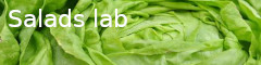 saladslab.jpg